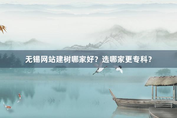 无锡网站建树哪家好？选哪家更专科？
